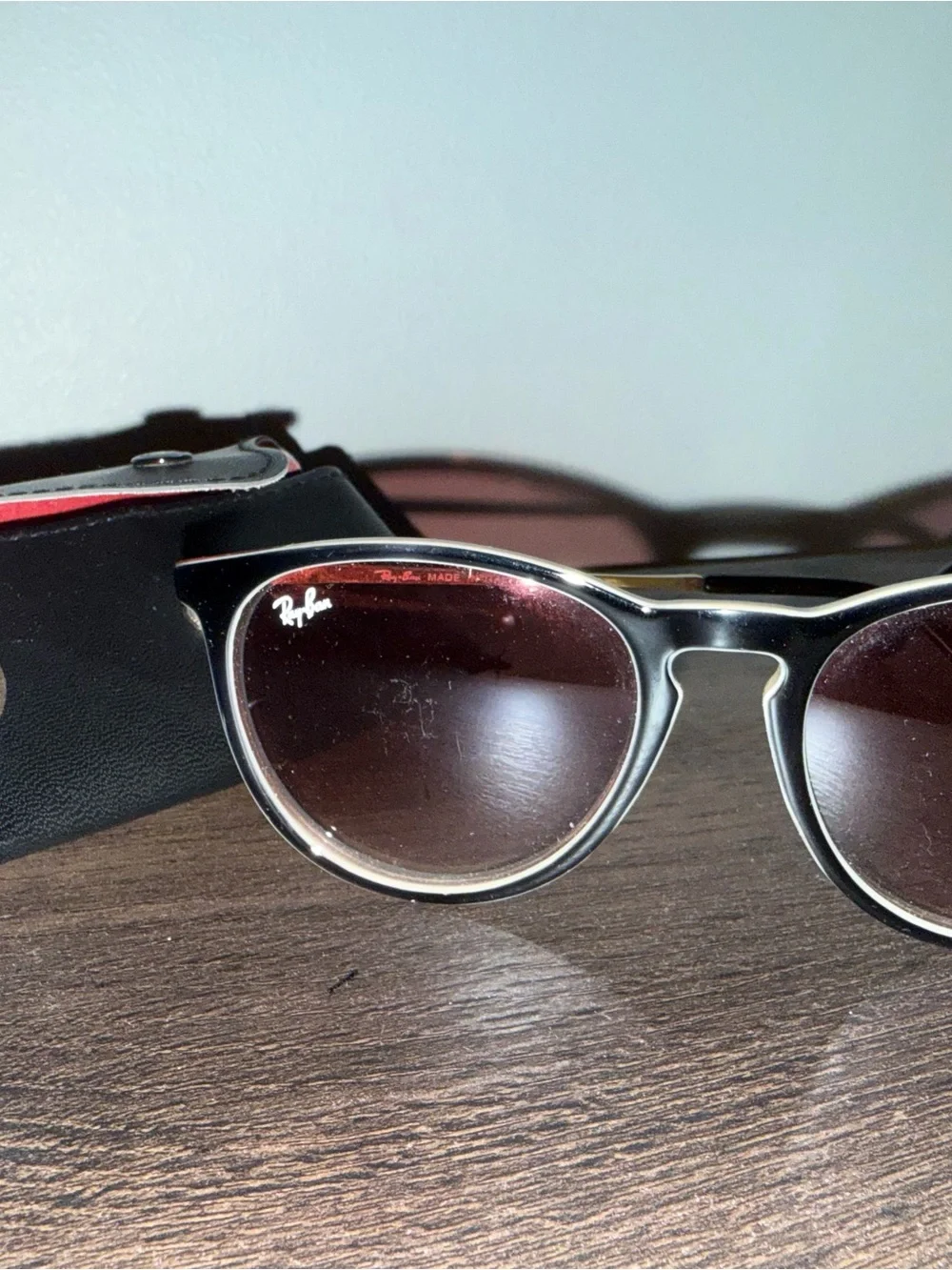 Ray-Ban Erika Sunglasses